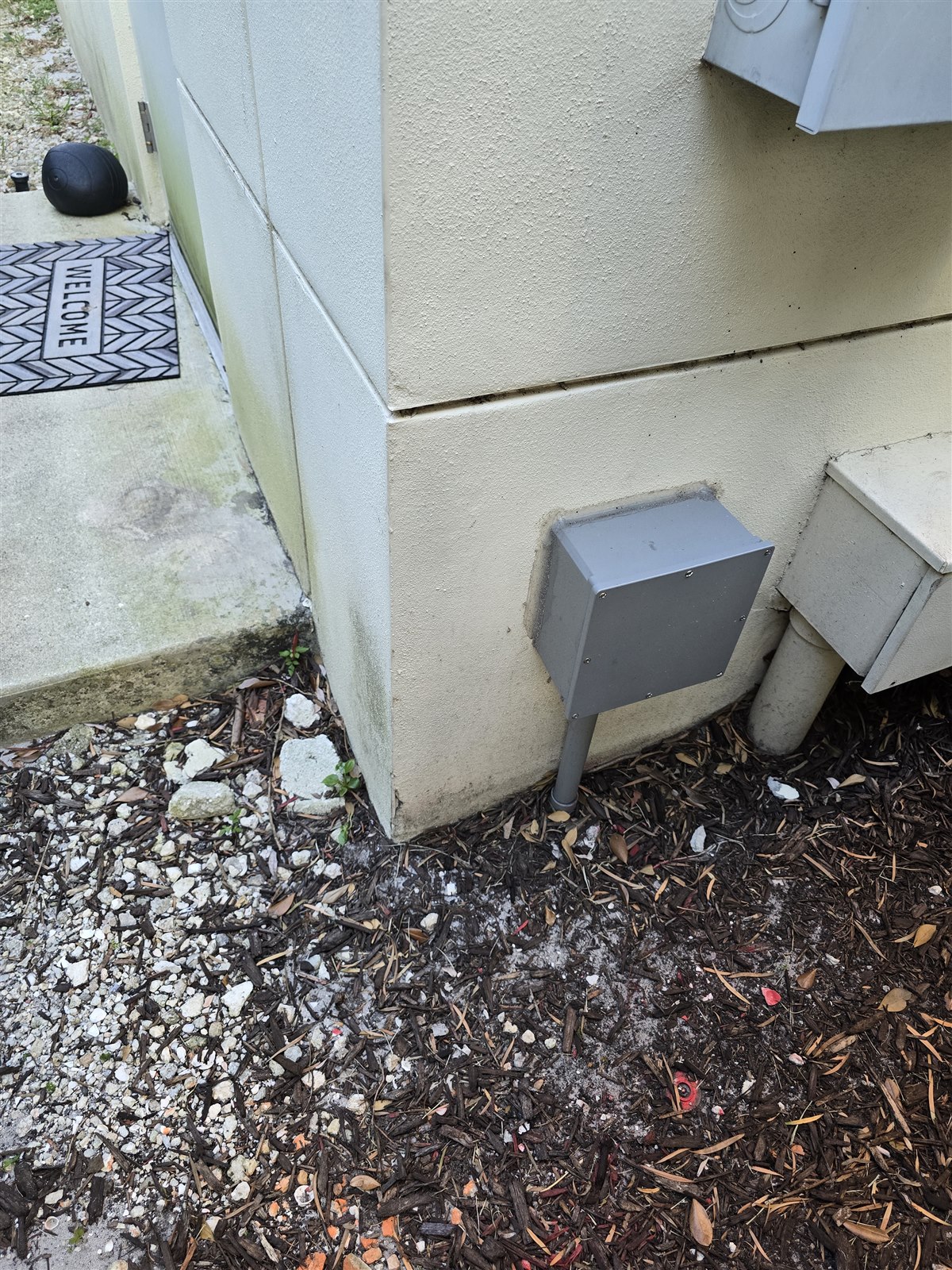 Basis image 10