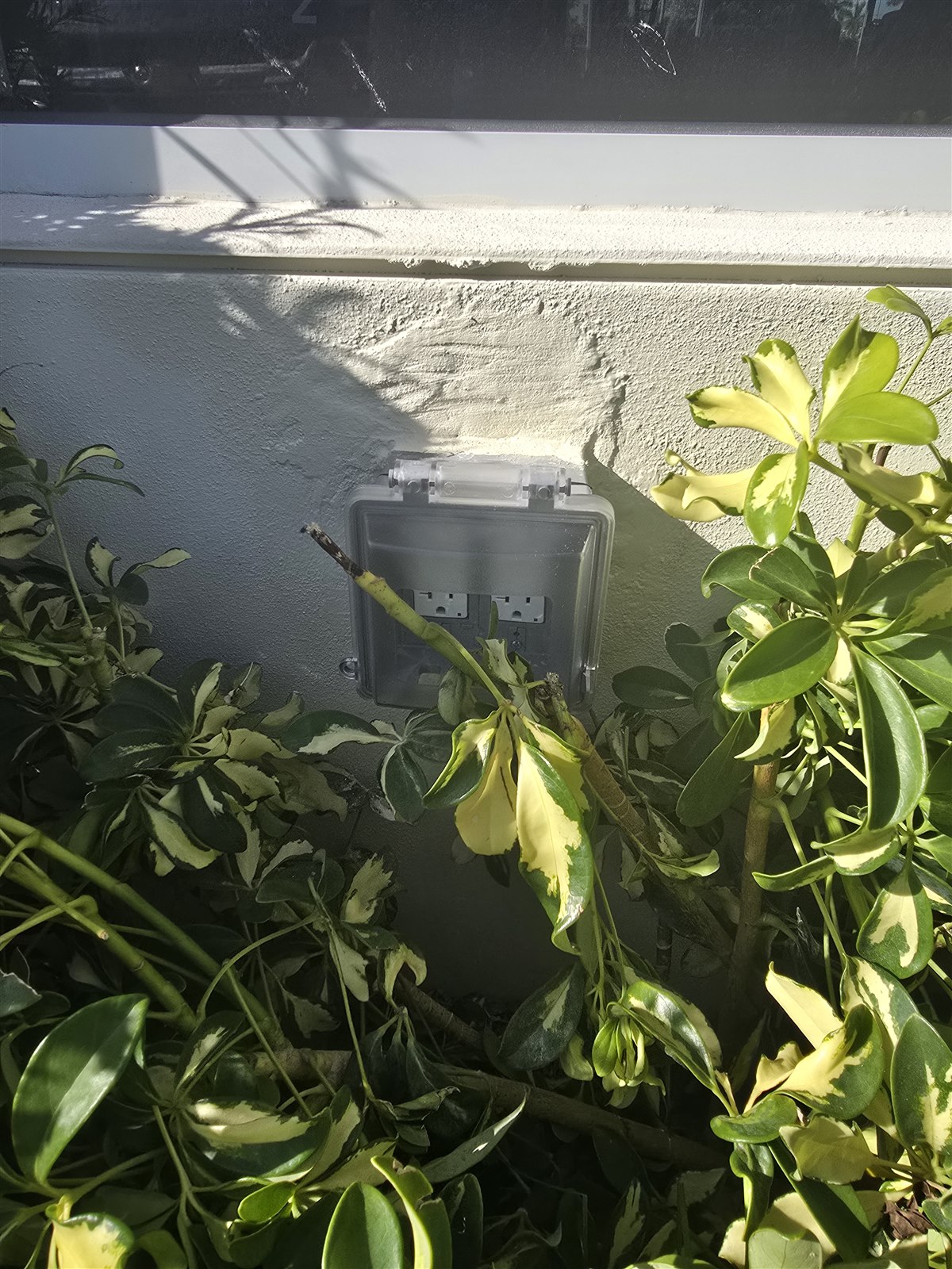 Basis image 6